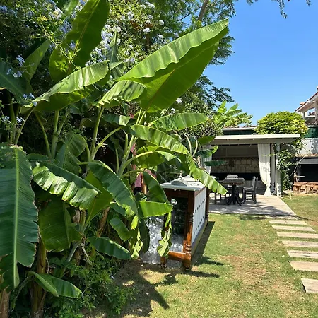 Argente (adults Only) Alaçatı