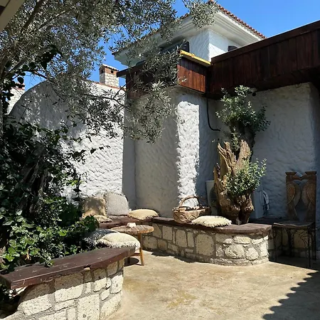 Argente (adults Only)